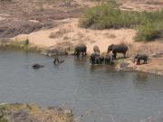 Kruger-2-26