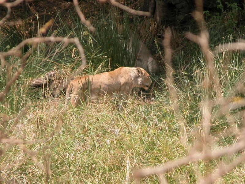 Kruger-3-21