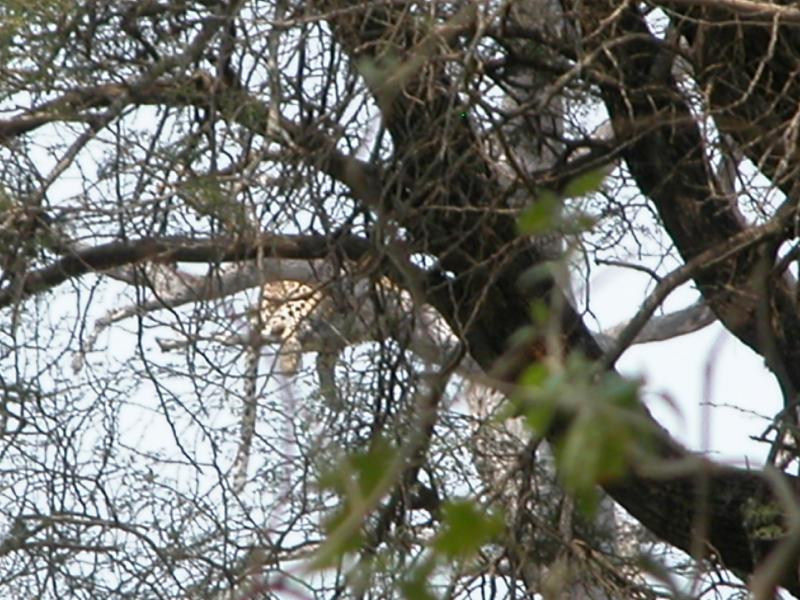 Kruger-3-22
