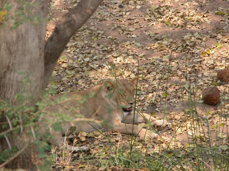 Kruger-3-27
