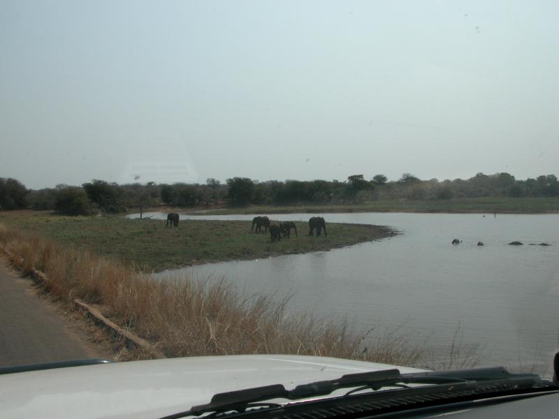Kruger-3-29