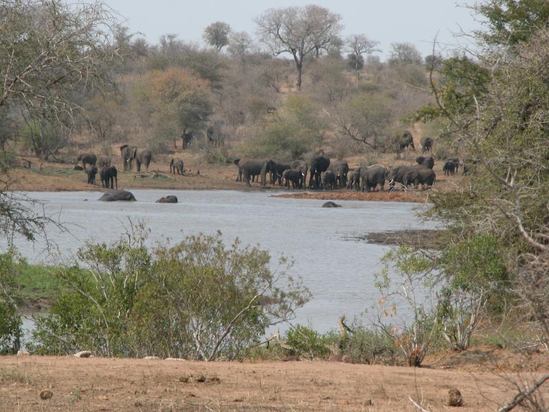 Kruger-3-34