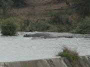 Kruger-3-16