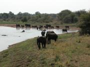 Kruger-3-33