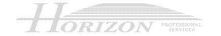 Horizon Professional Services