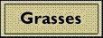 Grasses