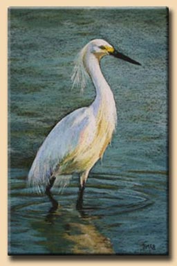 Egret