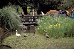 park