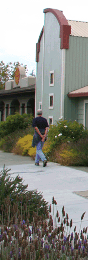walking by the Sebastopol Area Chamber of Commerce