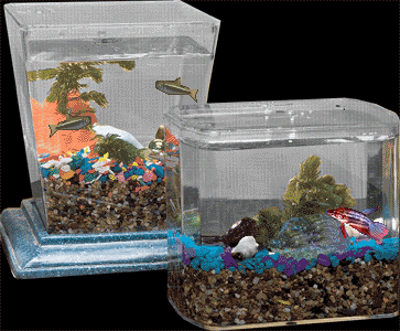 Get Your Aqua Babies Micro Aquarium