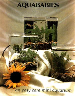 Aqua Babies Aquarium