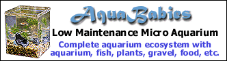 AquaBabies