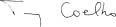 Tony Coelho signature