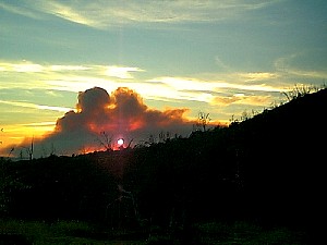Fire2.jpg