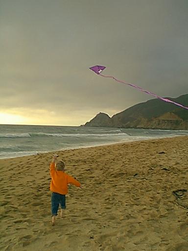 kite