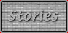 [Stories Logo]