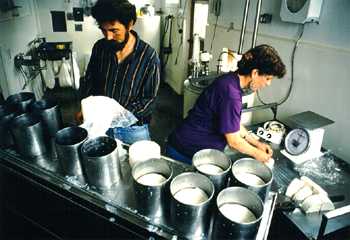 cheesemaking