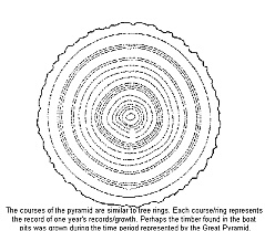 Tree Rings