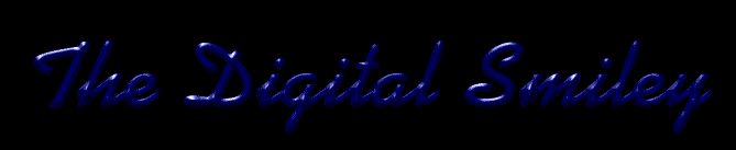 DS logo animated.gif (130111 bytes)