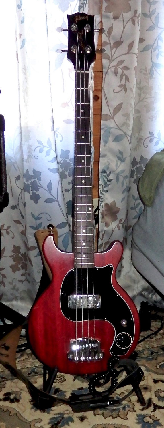 Best Bass Pickups and Bass Preamps