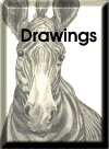 Drawings