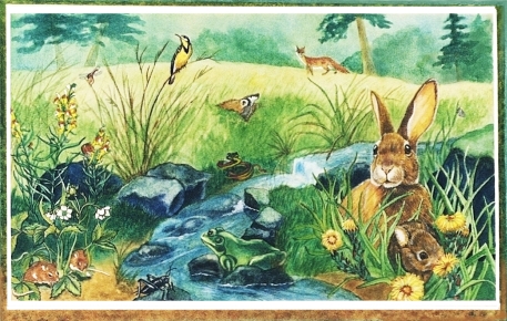 bunny and friends