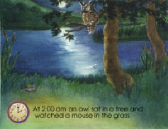 Owl page 15