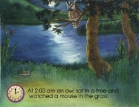 Owl page 15