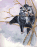 o'possum