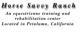 Horse Savvy Logo Text