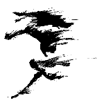 Horse Savvy Logo