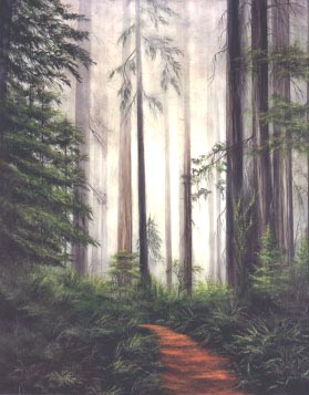 Lost