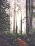Forests