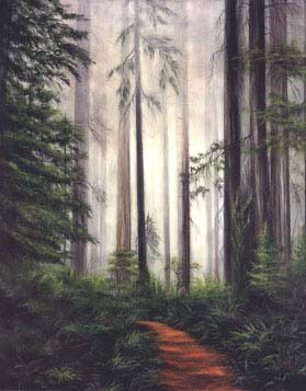 lost