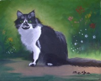 Kaiser, Jacqui's cat