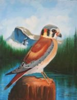 A Kestrel in Yosemite