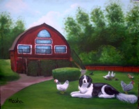 Steve and Geri's farm