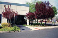 Click For
Larger Image