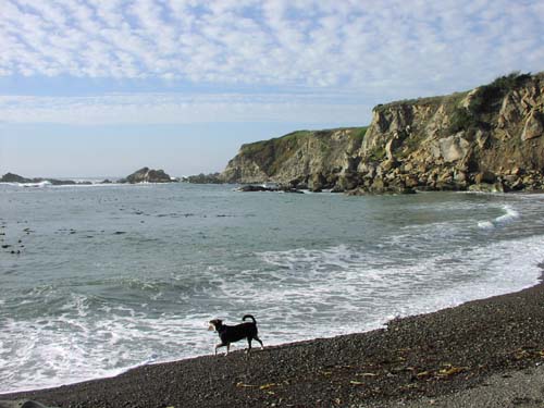 The Beach just north of Fort Ross