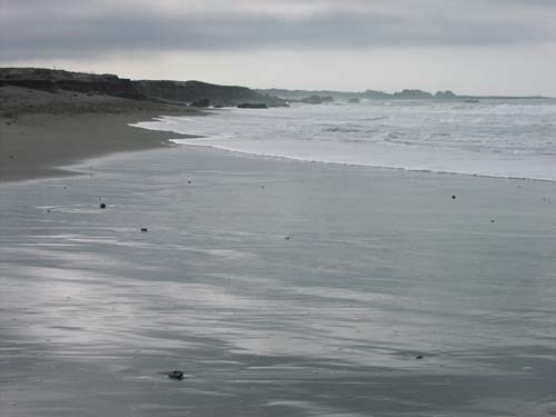 McKerricher beach photo