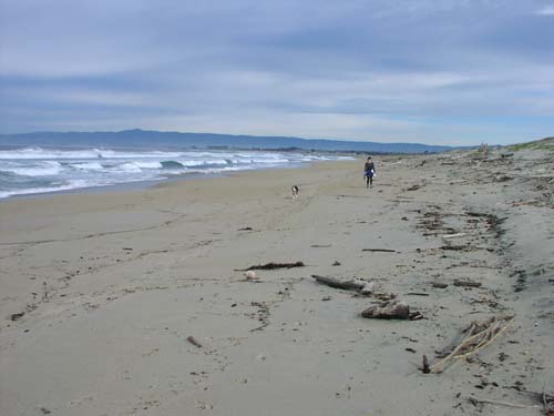 Salinas River Beach