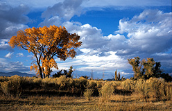 Owens Valley