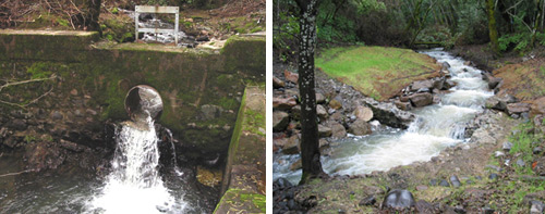 Before and after a dam is removed from a stream
