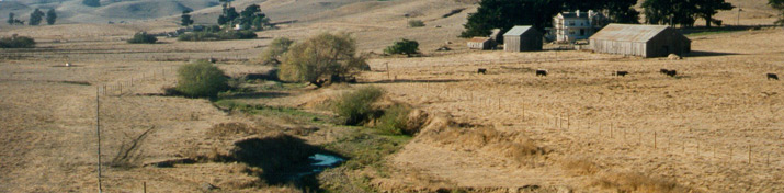 environmental compliance