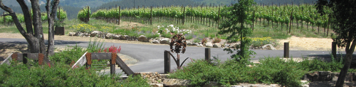 view of bridge over stream