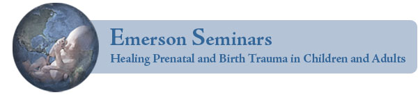 Emerson Seminars Logo Banner