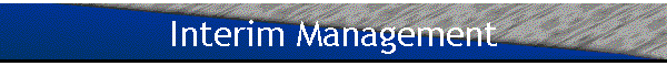 Interim Management