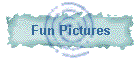 Fun Pictures