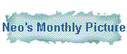 Neo's Monthly Picture
