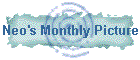 Neo's Monthly Picture